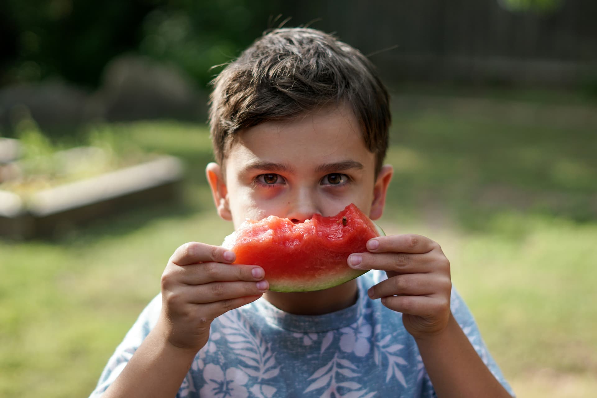 Você Sabe o Que Está Comendo? A Importância da Análise Microbiológica nos Alimentos